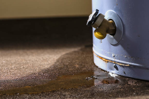 Best Water damage contractors near me  in Greenville, PA