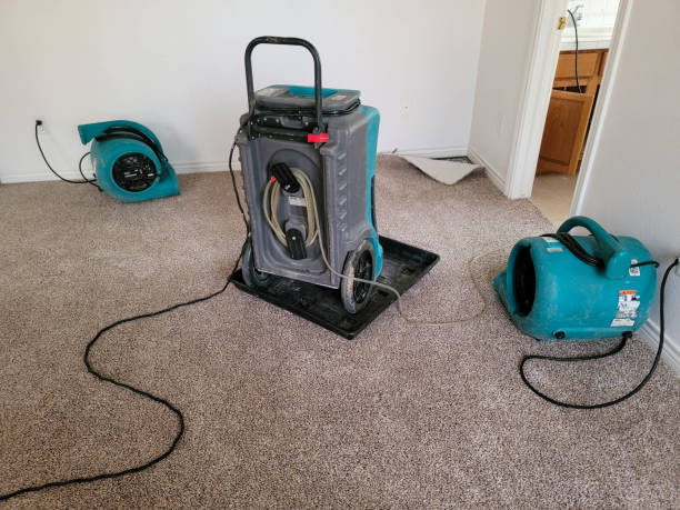 Best 24/7 water damage repair  in Greenville, PA