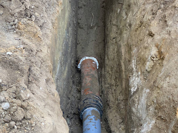 Best Flood restoration services  in Greenville, PA