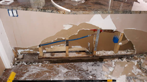 Best Professional water damage repair  in Greenville, PA