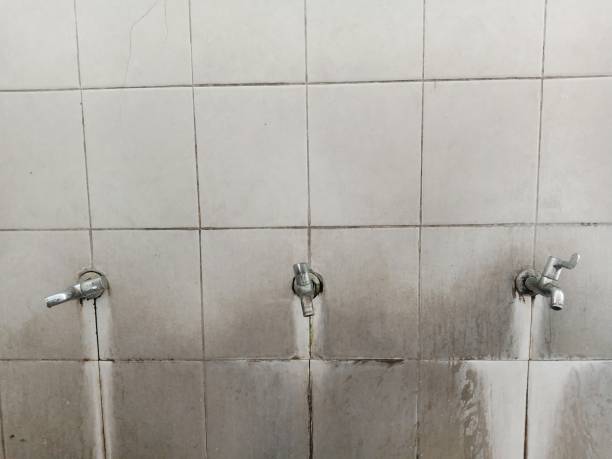 Best Ceiling water damage repair  in Greenville, PA