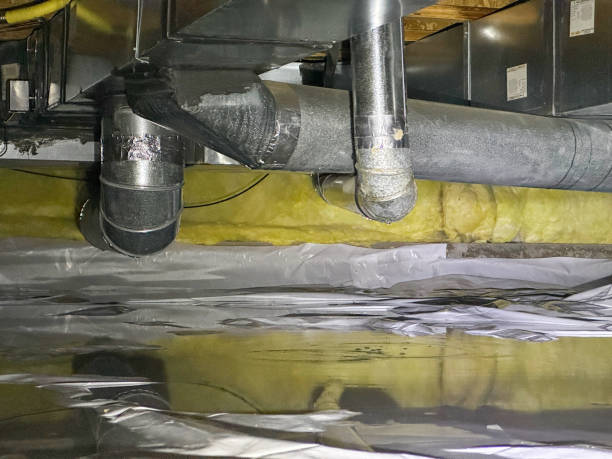 Best Emergency water damage restoration  in Greenville, PA