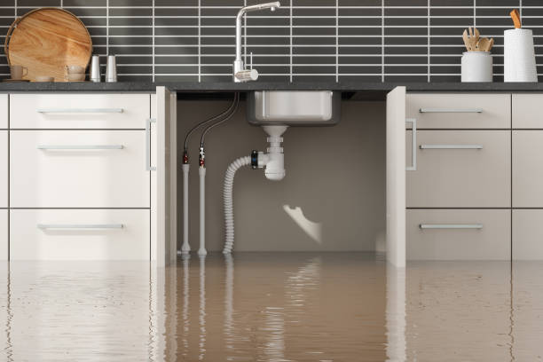 Best Basement water damage restoration  in Greenville, PA