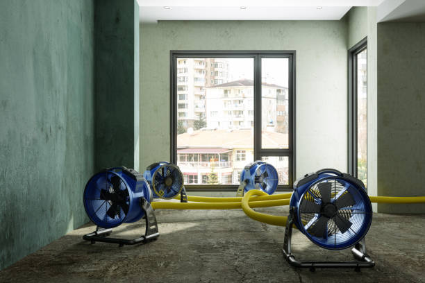 Best Water damage restoration experts  in Greenville, PA